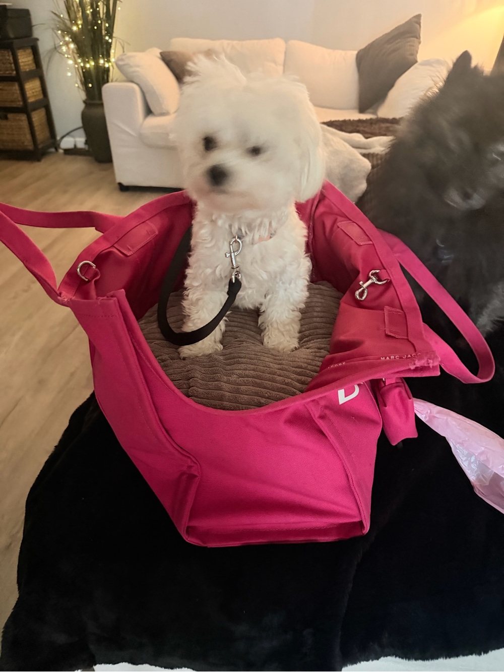 MARC JACOB Canvas Tote in Hot Pink with Logo - Picture 2 of 12
